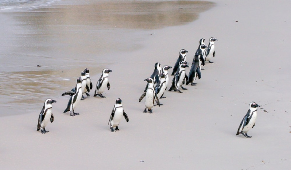 leaders and leadership